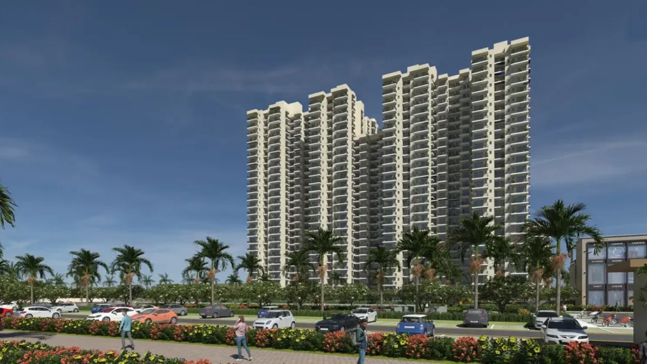 4S Aster Avenue 2