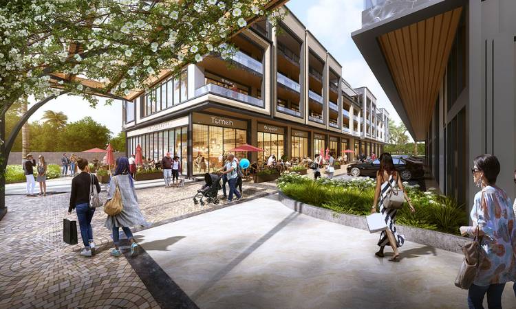 reach buzz sector 114