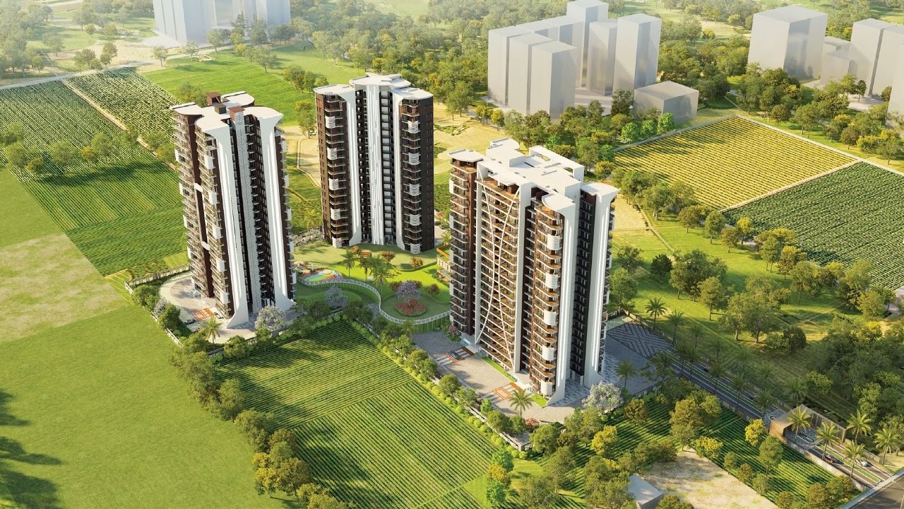 Oxirich Chintamanis 103