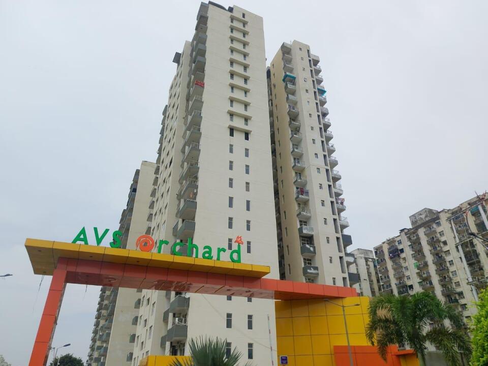 AVS Orchard