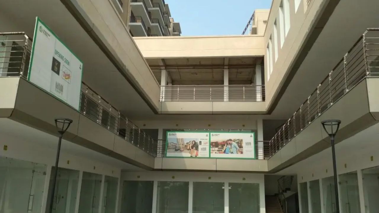 Signature Signum 81 Sector 81