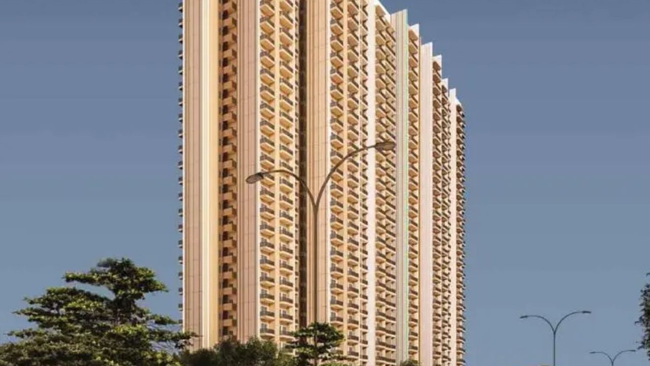 Nirala Trio  Greater Noida 
