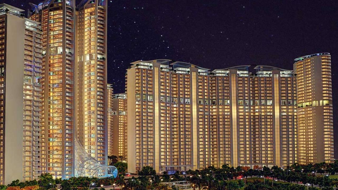 Unity Group The Amaryllis          