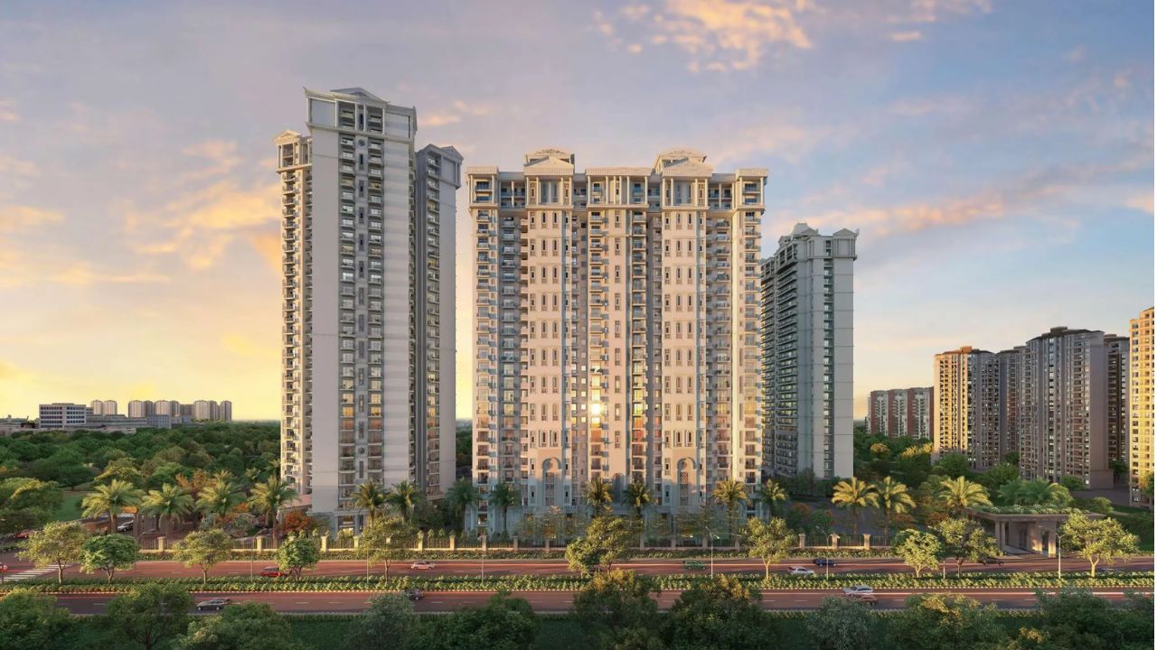 Nimbus The Arista Luxe 