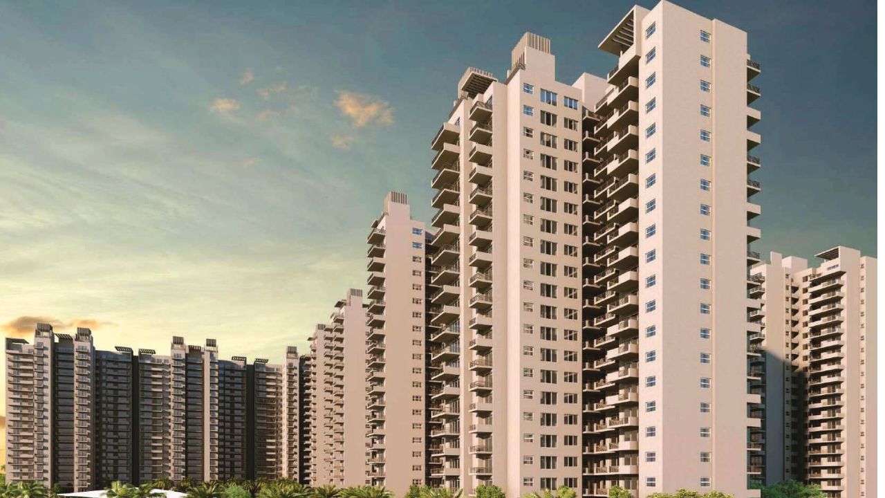 SS The Coralwood Sector 84