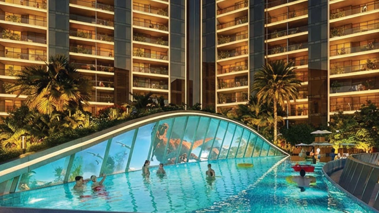 Elan The Statement 49