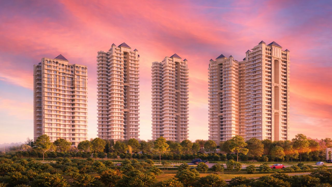 Adore the Select Premia 