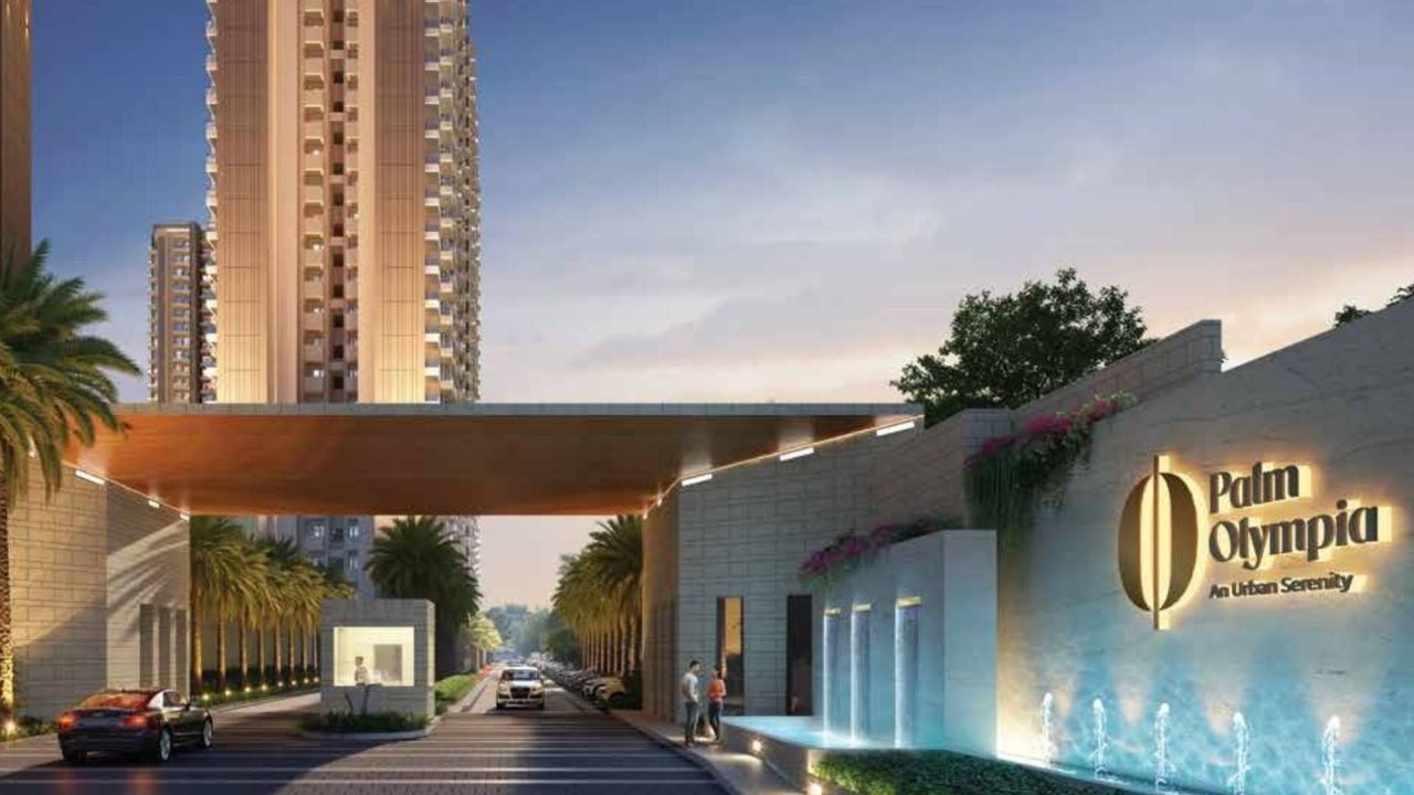 Sam Palm Olympia Sector 16C