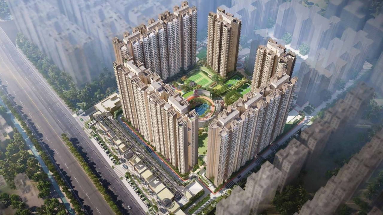 Sam Palm Olympia 16C