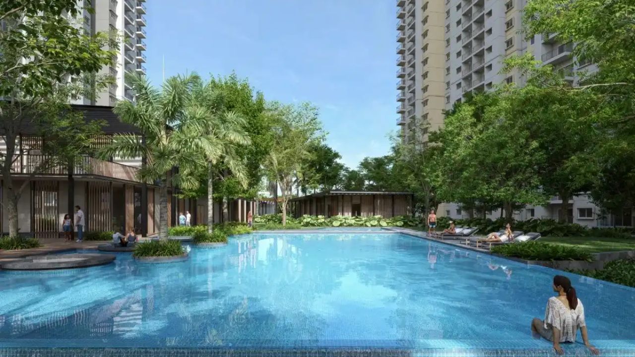 Alembic Cloud Forest Whitefield Bangalore