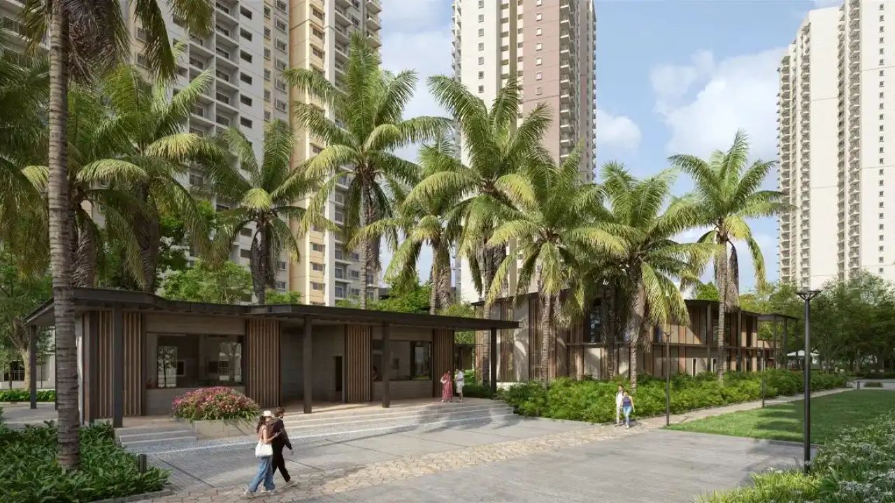 Alembic Cloud Forest Whitefield 
