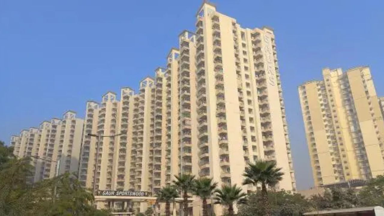 Gaur SportsWood