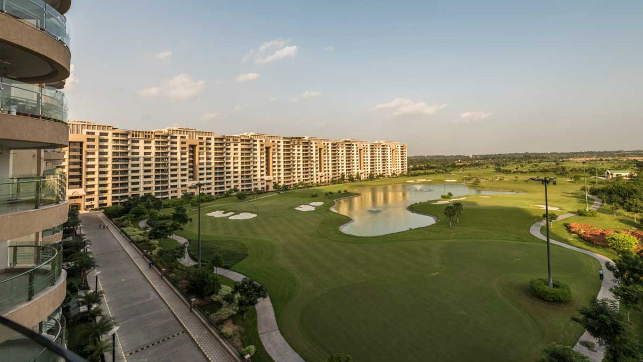 Ambience Caitriona 24