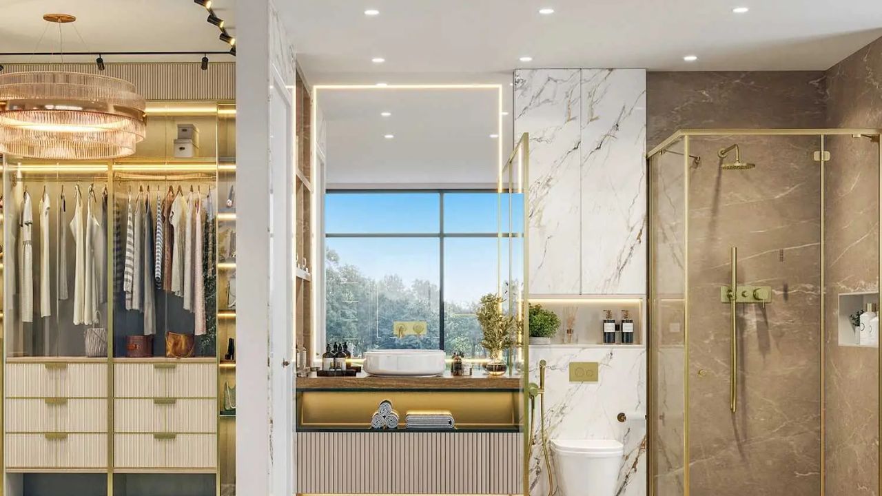 ss camasa interior images