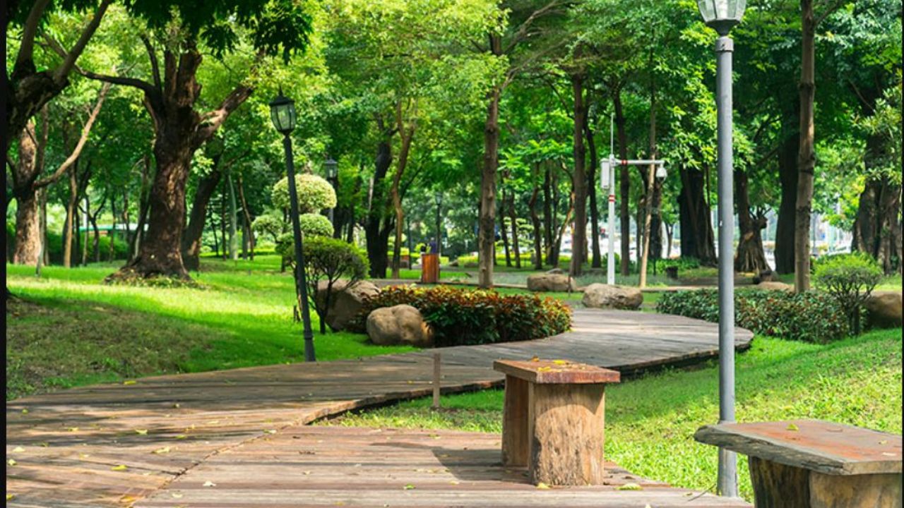 DLF Siris Estate Sector 24